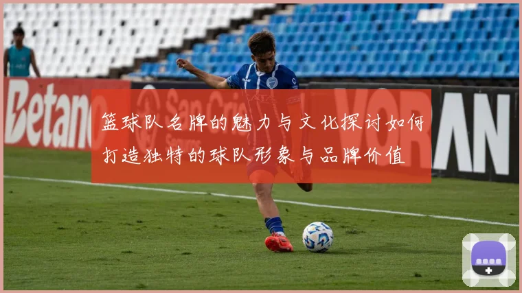 篮球队名牌的魅力与文化探讨如何打造独特的球队形象与品牌价值