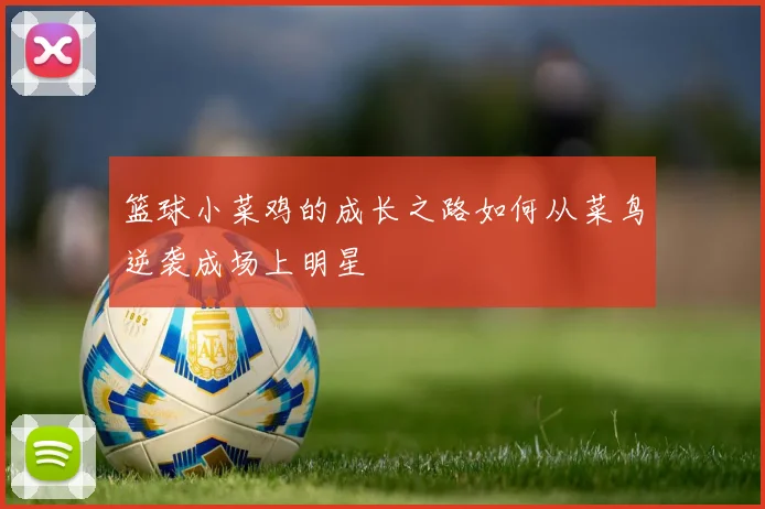 篮球小菜鸡的成长之路如何从菜鸟逆袭成场上明星