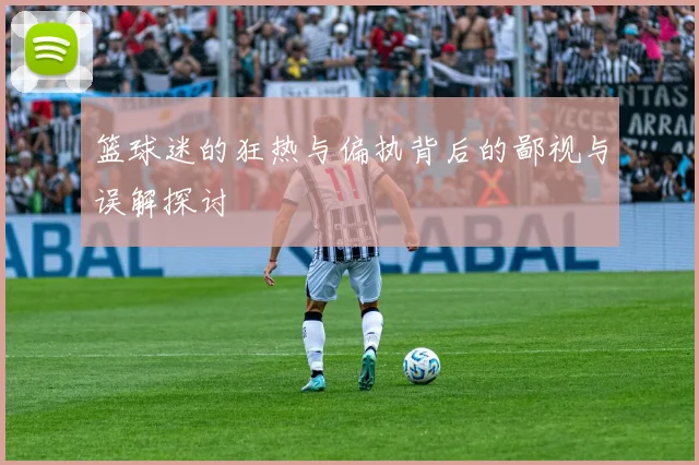 篮球迷的狂热与偏执背后的鄙视与误解探讨