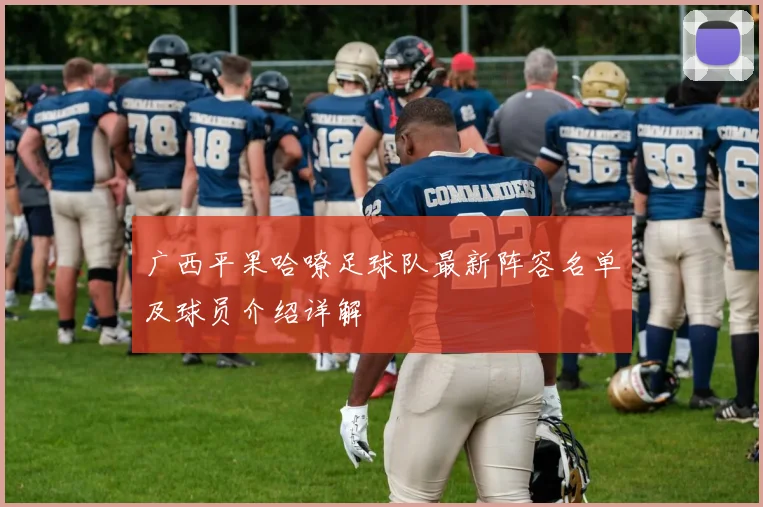 广西平果哈嘹足球队最新阵容名单及球员介绍详解