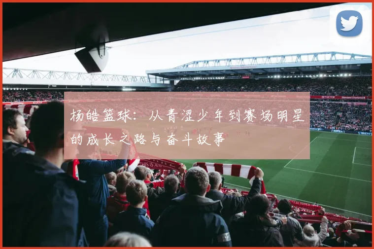 杨皓篮球：从青涩少年到赛场明星的成长之路与奋斗故事