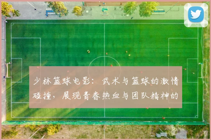 少林篮球电影：武术与篮球的激情碰撞，展现青春热血与团队精神的传奇故事