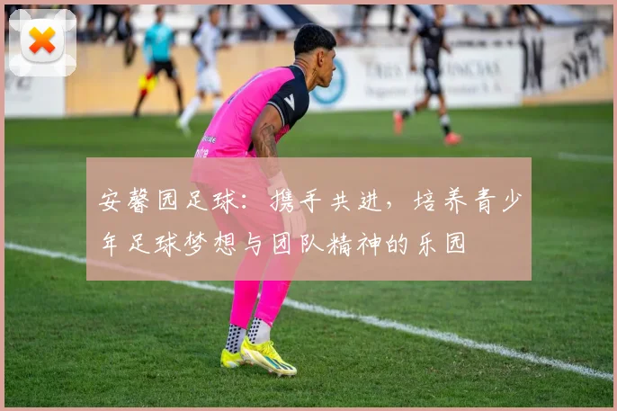 安馨园足球：携手共进，培养青少年足球梦想与团队精神的乐园